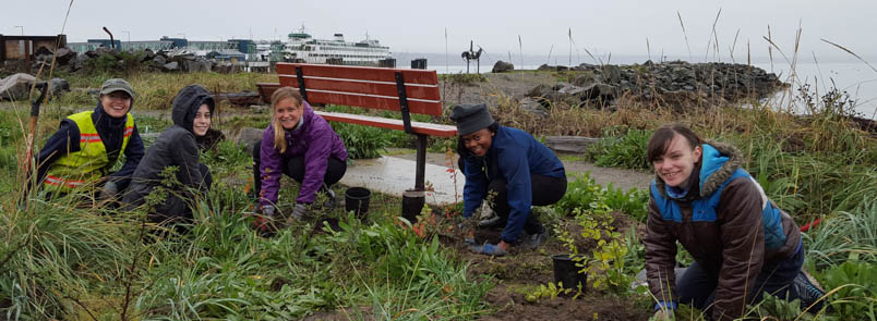 Volunteers planting near a body of water.