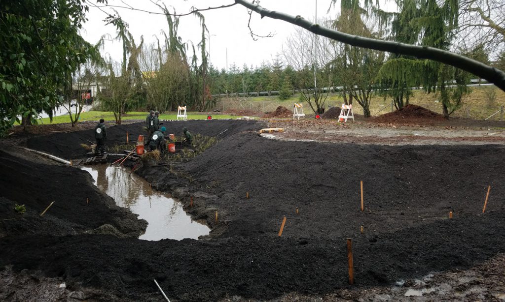 Mulch put over the soil in the hole.