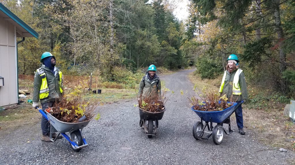 Three members of EarthCorps' International Corps stand in a path holding wheelbarrows filled with plants.