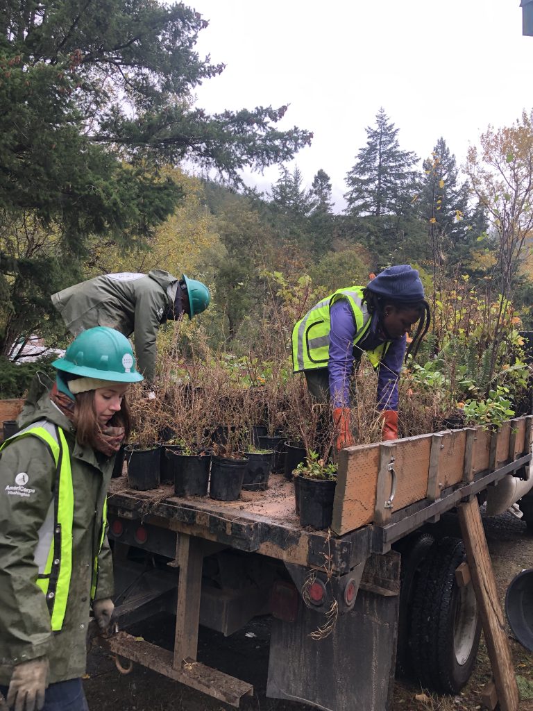 International Corps Members unload plants from truck bed.