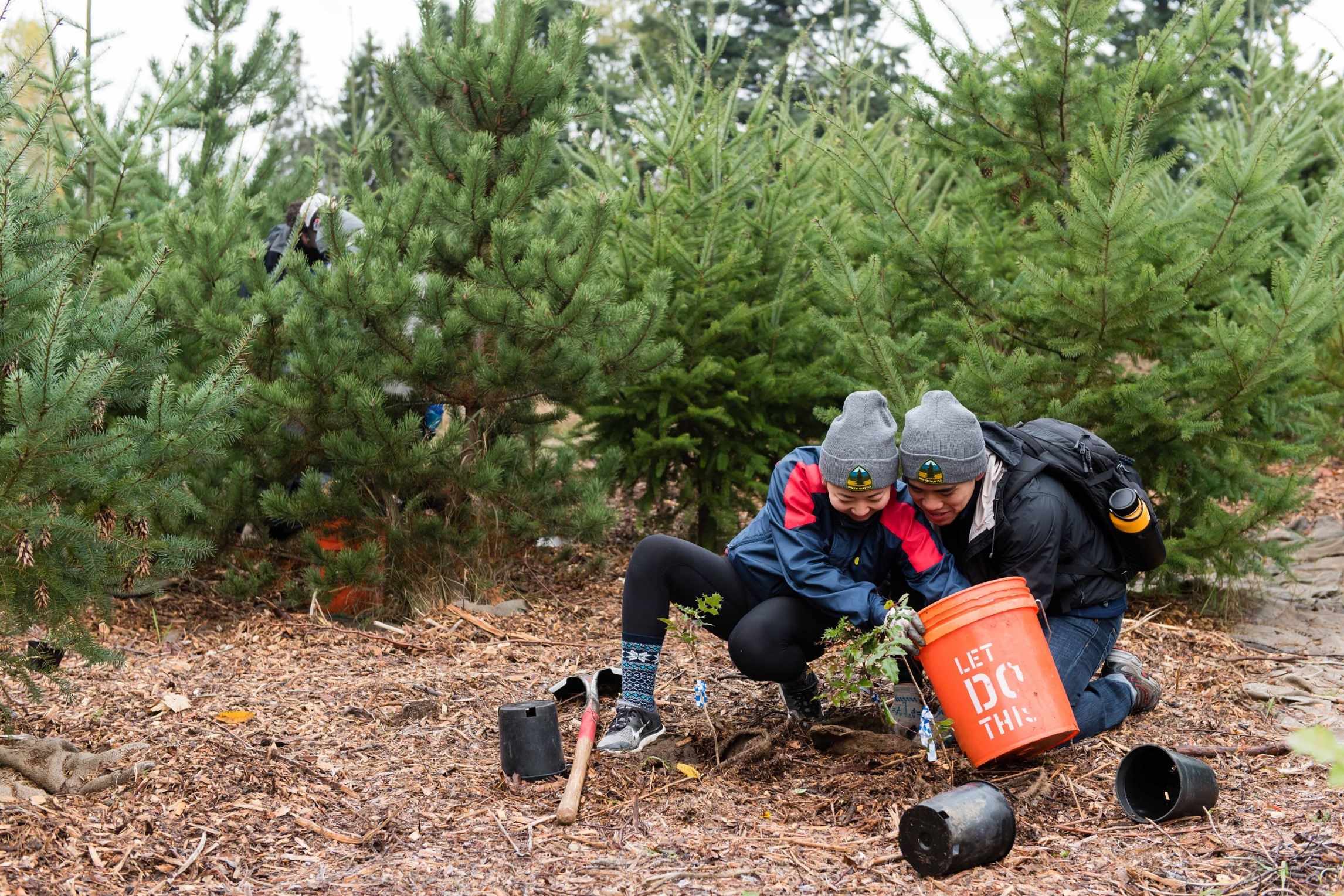 Two volunteers kneeling down in front of trees, planting a small plant in the ground.