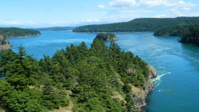 Forested land next to a body of water.