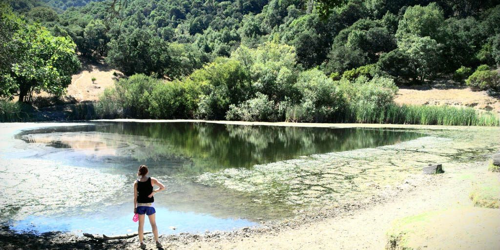 Person looking out at a small body of water surrounded by trees. 