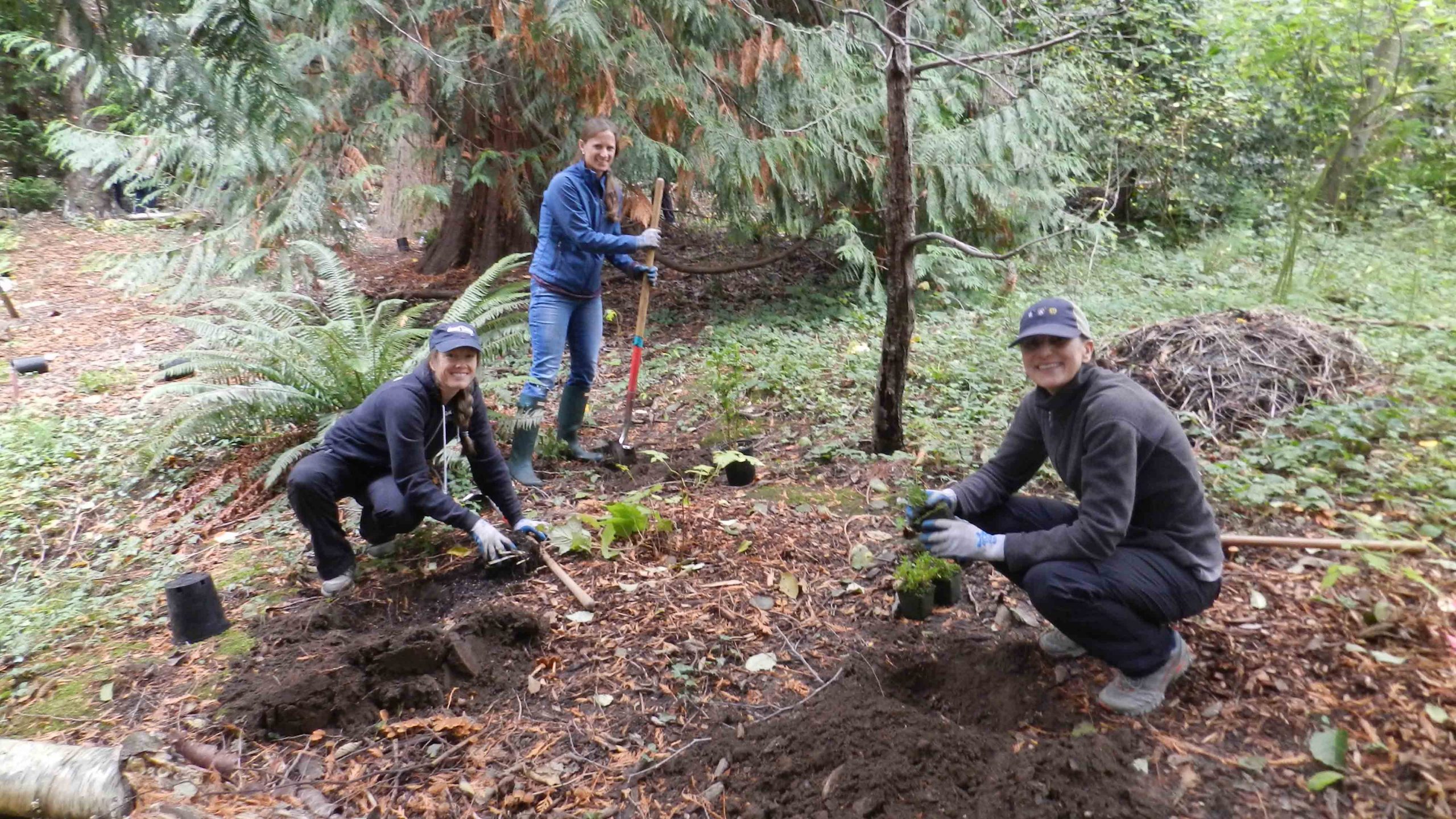 Three volunteers planting