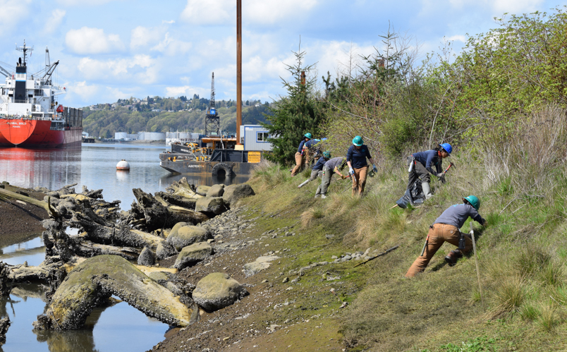 Corps Members wearing hard hats working on the land at Commencement Bay.