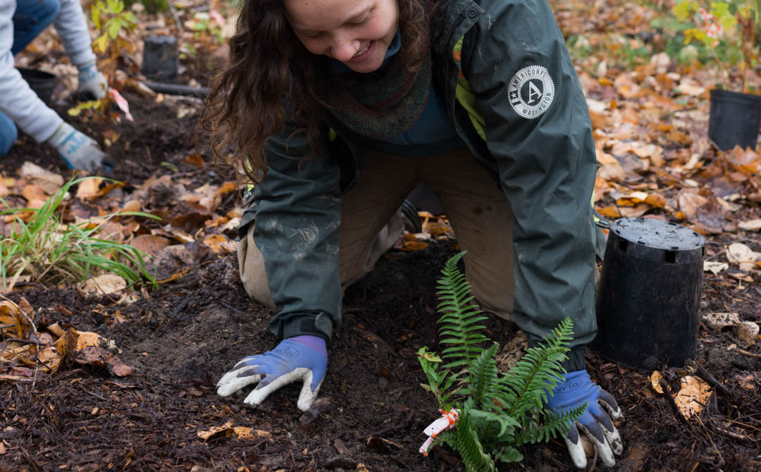 Corps Member planting a plant in the soil.