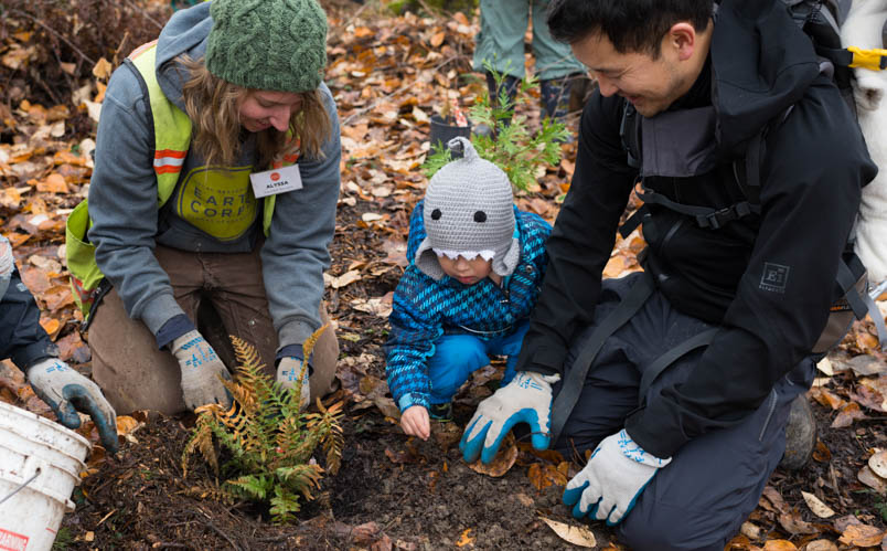 A father with their child, next to an EarthCorps volunteer specialist, planting a plant in the ground. 