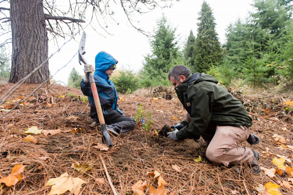 Father and son planting trees in a park together