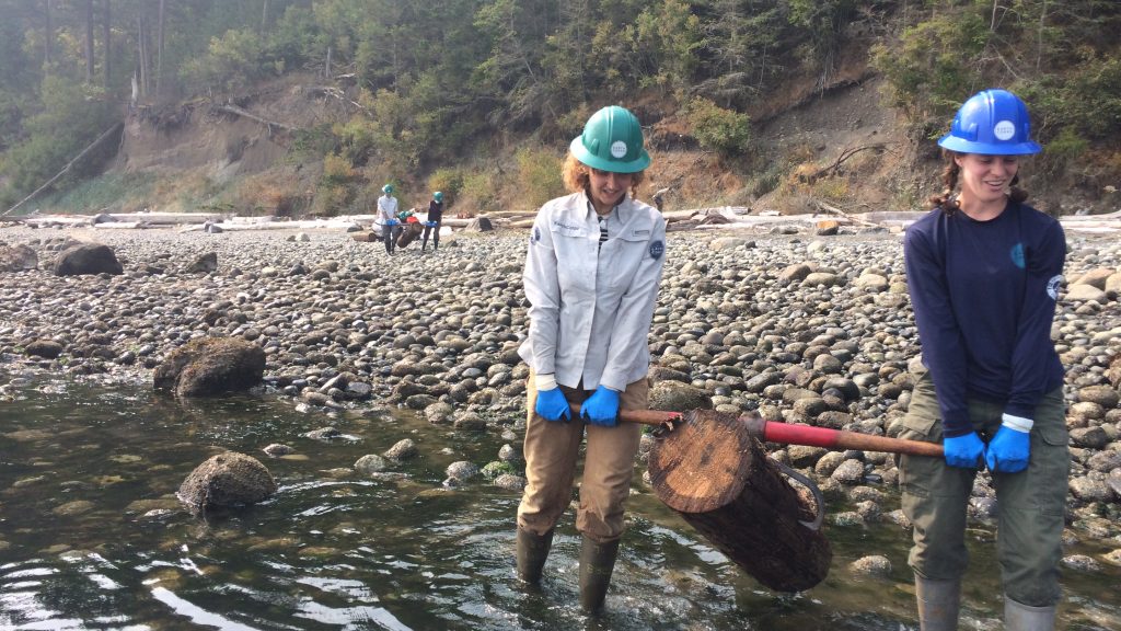 Two Corps Members wearing hard hats, removing a creosote-coated log from the shoreline. 