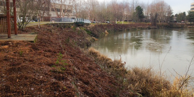 Land next to a body of water. 