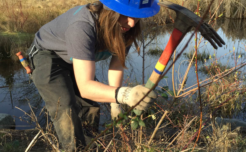 Corps Member holding a tool while working outdoors near a body of water.