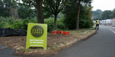 EarthCorps sign that reads "Restoration In Progress", is situated in front of a restoration site.