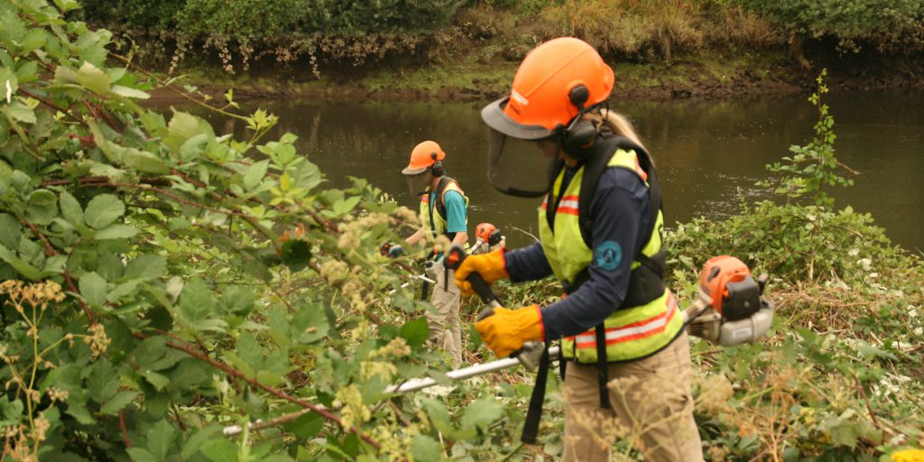 Corps Members using brush cutters.