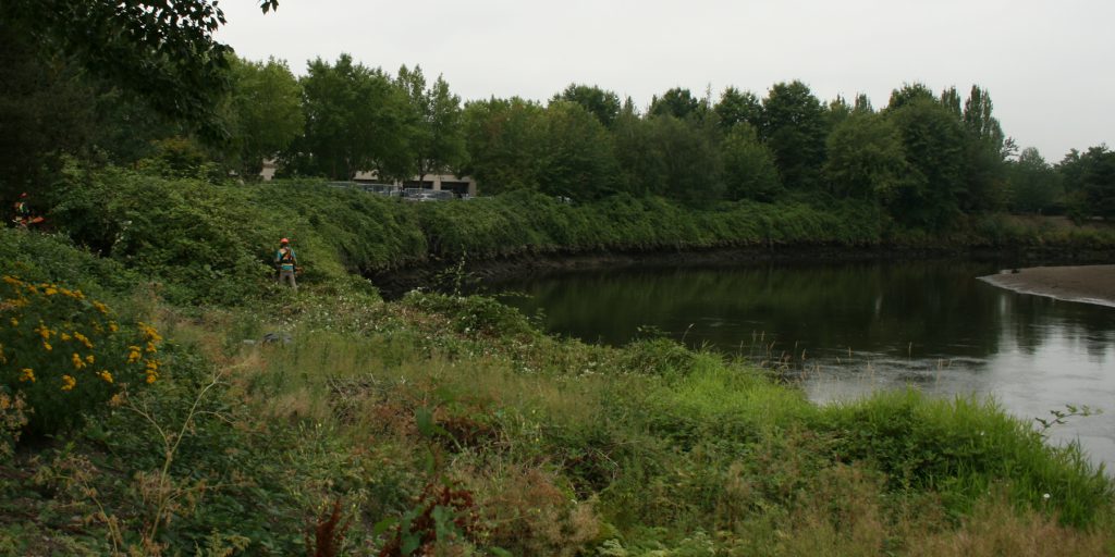 Corps Member working in a green space next to a body of water.