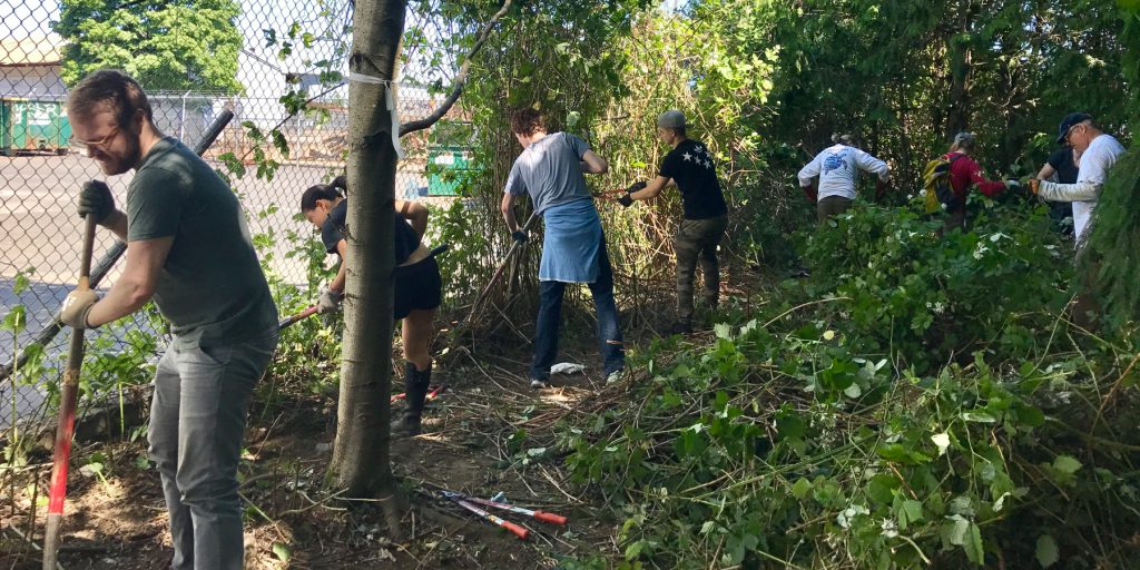 EarthCorps volunteers working outside and using tools.