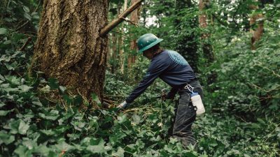 Corps Member wearing a hard hat and working in a forested area.