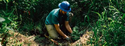 Corps Member in a forested area, wearing a hard hat and planting a plant in the ground.