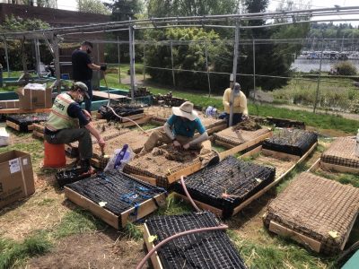 Corps Members constructing the floating wetlands.