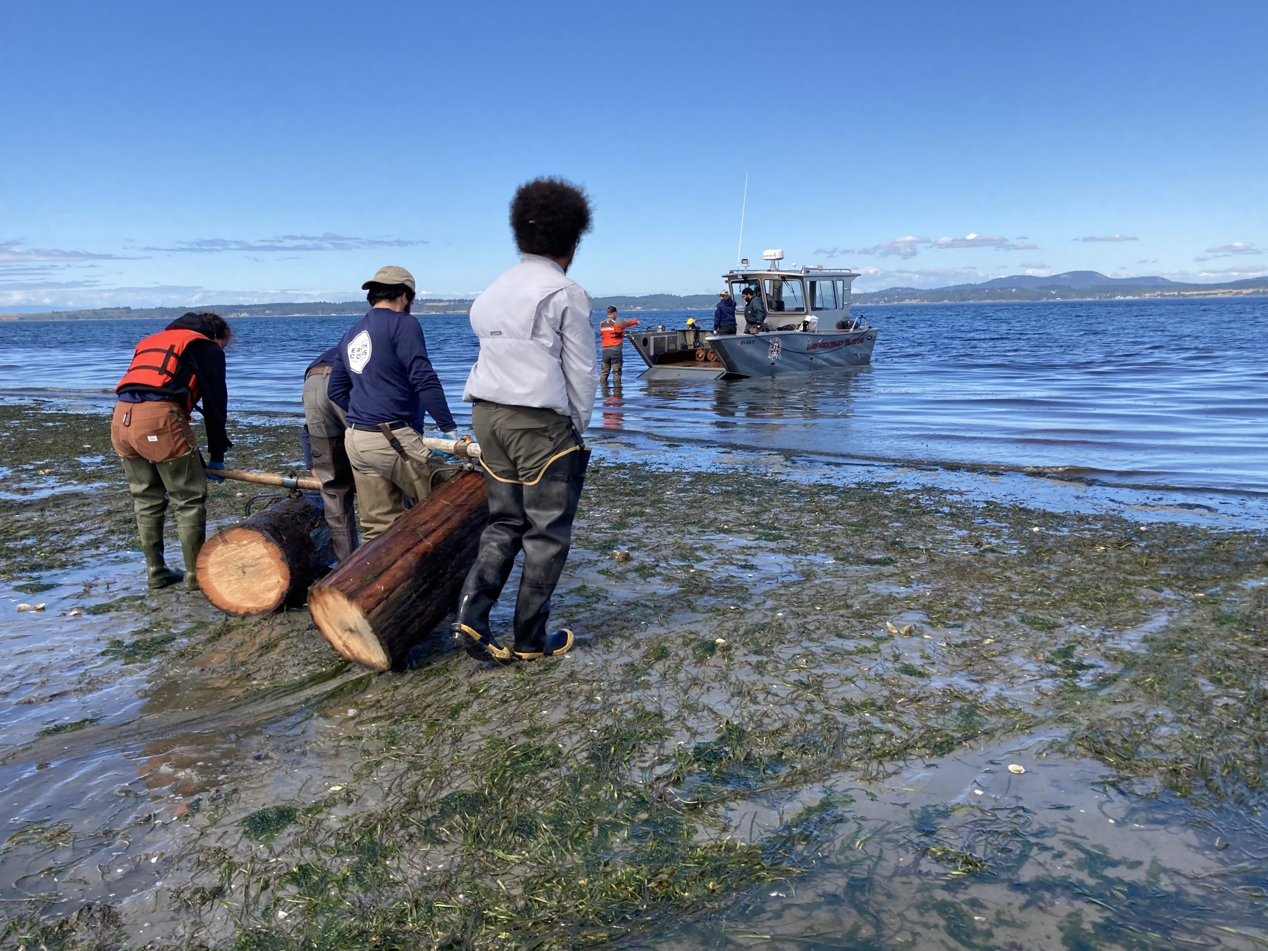 Corps Members wearing waders, dragging logs to a small boat on the water.
