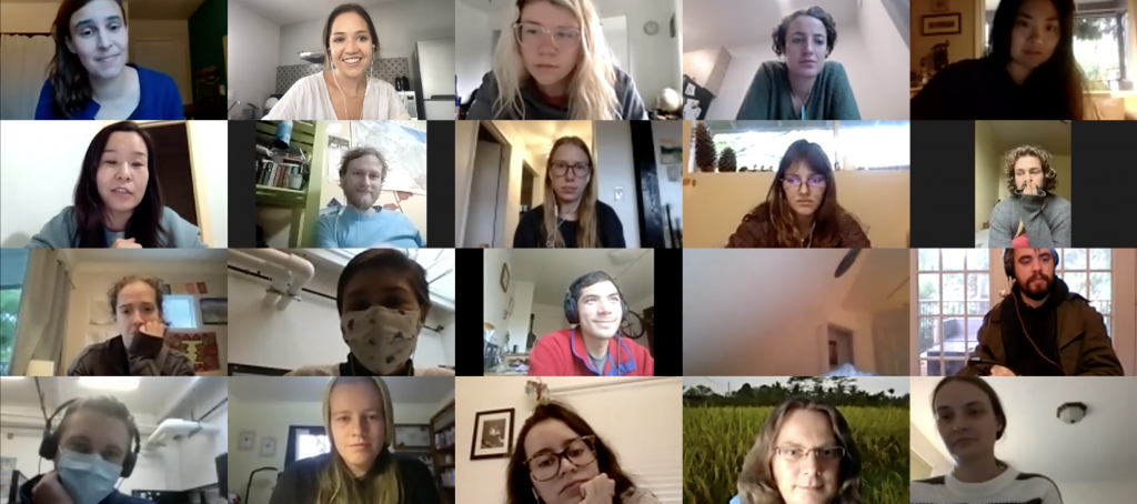 Screenshot of the Zoom call showing 20 participants listening to the presentations