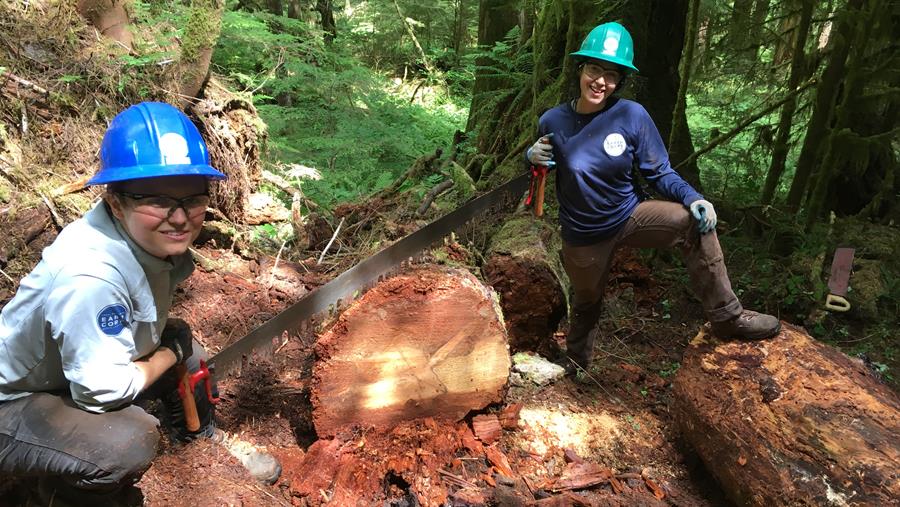 Two smiling Corps Members holding a long saw on a large log that has been cut.