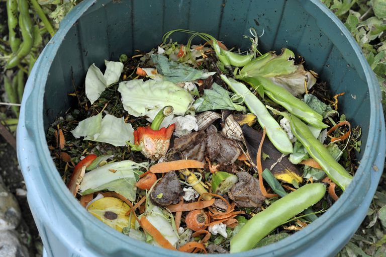 Compost bin with vegetables inside.