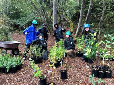 Group of smiling people in a forested area wearing raincoats and hardhats, posing behind plants in containers.